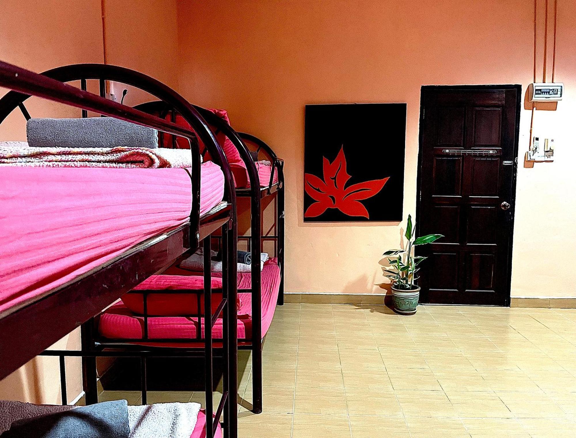 Home Sol Guesthouse Pantai Cenang  Exteriör bild